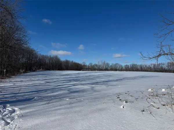 Parcel C Murphy Lake Road, Mayville, MI 48744