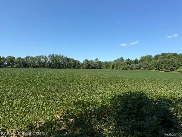 Parcel C Murphy Lake Road, Mayville, MI 48744