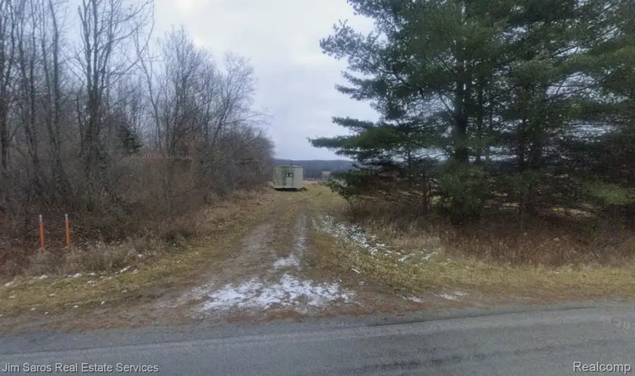 4771 E County Line Road, South Branch, MI 48761 - #3