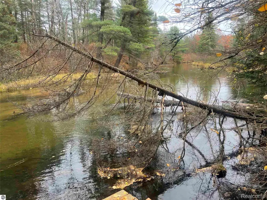 6051 N Manistee River Road, Frederic, MI 49733 - #3