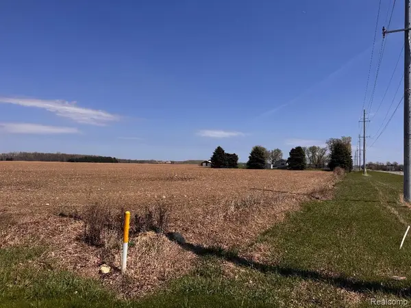 0000 Fitch And Sanilac Road Ne, Carsonville, MI 48419