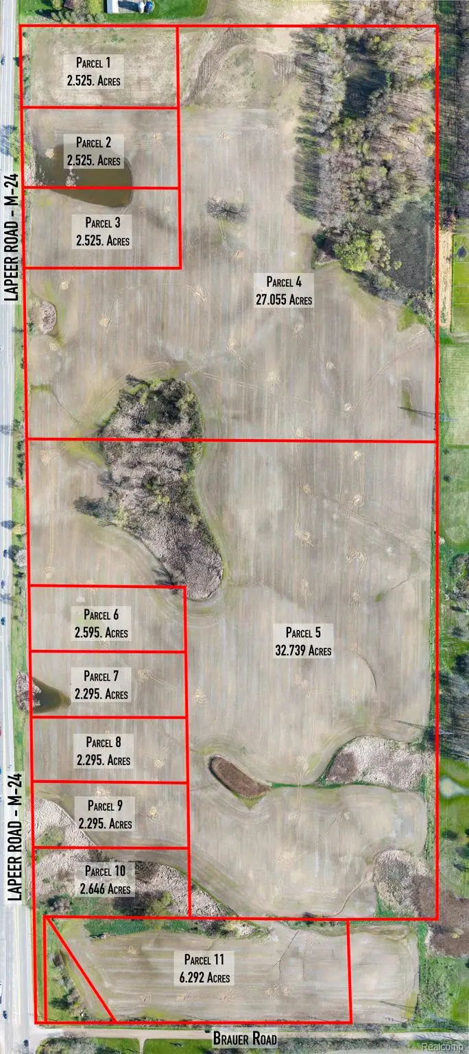 Parcel 6 Lapeer Road, Metamora, MI 48371 - #1