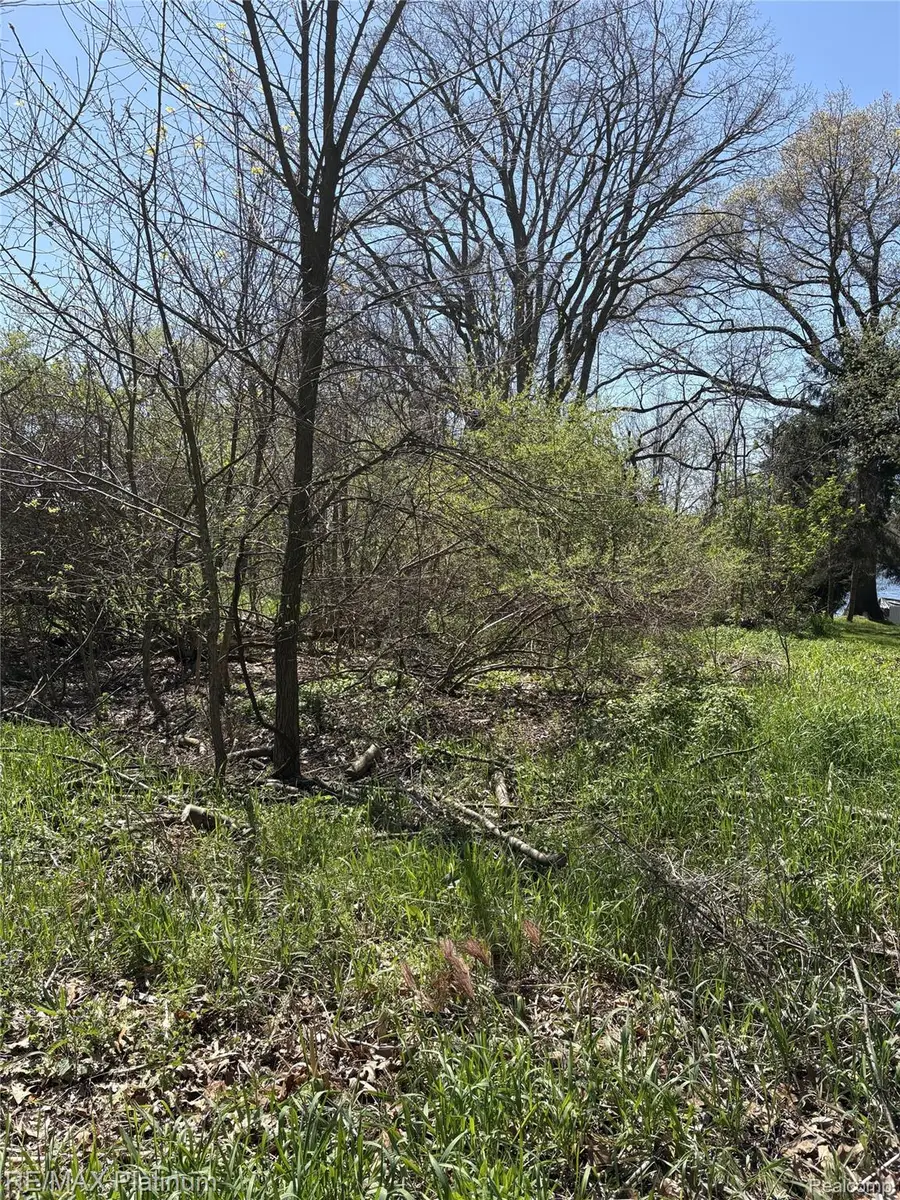 Transfer Parcel A Edgemont Drive, Howell, MI 48855 - #2