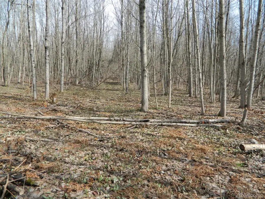 0000 Northland Drive, Maple Forest, MI 49733 - #3