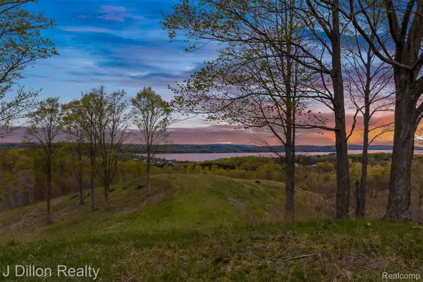 Lot 16 Wild Laurel Lane, Beulah, MI 49617