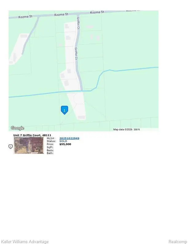 20746 Griffin Court, Belleville, MI 48111 - #3