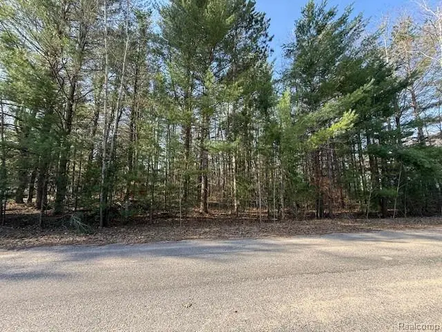0 Ponderosa Drive, Cadillac, MI 49601 - #1