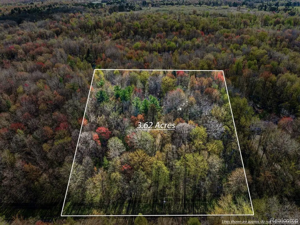 6799 Maplegrove Road, Vassar, MI 48768 - #1