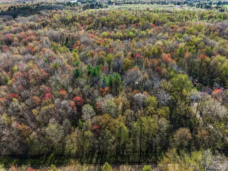 6799 Maplegrove Road, Vassar, MI 48768 - #2