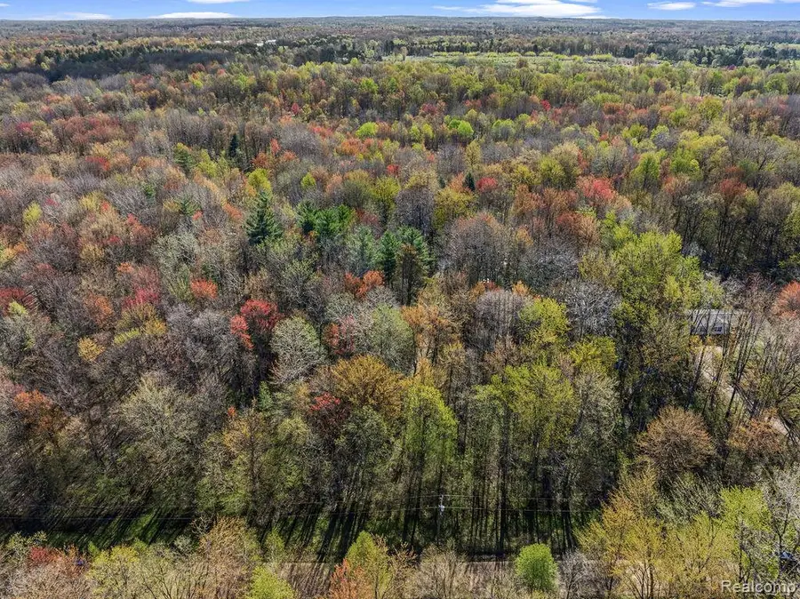 6799 Maplegrove Road, Vassar, MI 48768 - #3