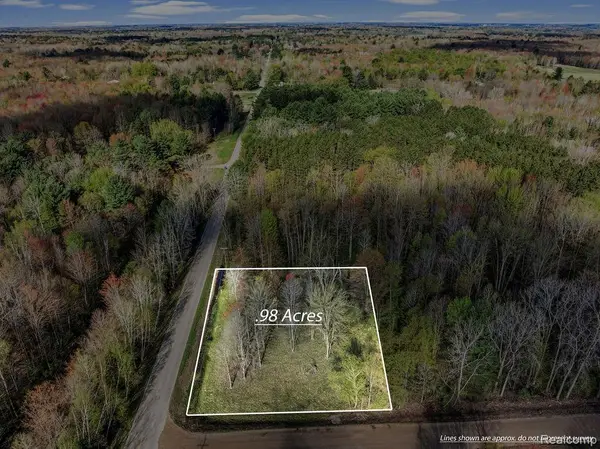 #0014 V/L Brown Road, Vassar, MI 48768