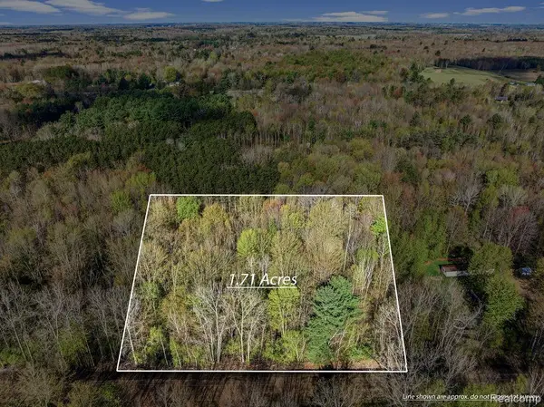 #0049 V/L Maplegrove Lane, Vassar, MI 48768