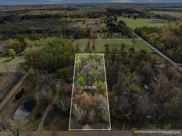 #0082 V/L Natures Trail Road, Vassar, MI 48768