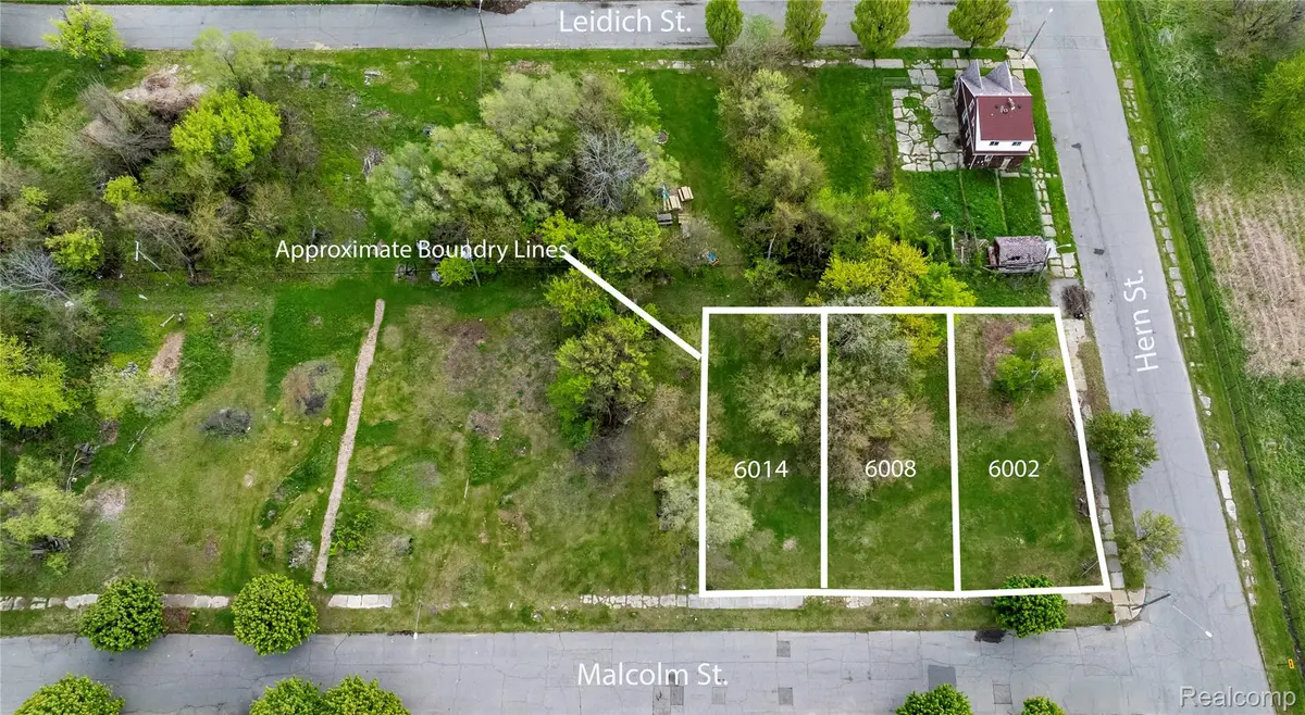 6014 Malcolm Street, Detroit, MI 48213 - #1