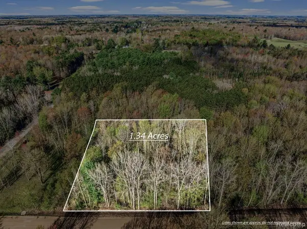 #AAA V/L Maplegrove Lane, Vassar, MI 48768