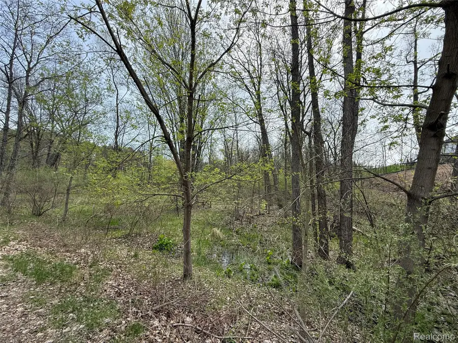Lot 66 Preserve Drive, Fenton, MI 48430 - #2