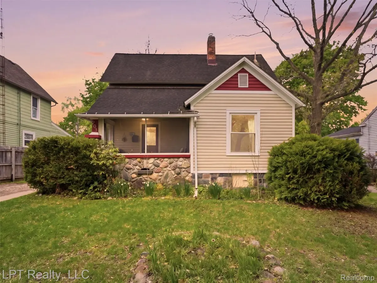 203 Lincoln Street, Chelsea, MI 48118 - #1
