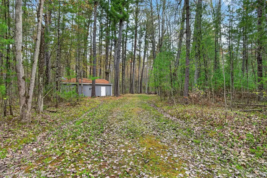 v/l E Pinecrest Drive, Gladwin, MI 48624 - #2