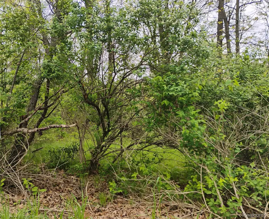 000 Middle Parcel C Middle Road, Highland, MI 48357 - #2