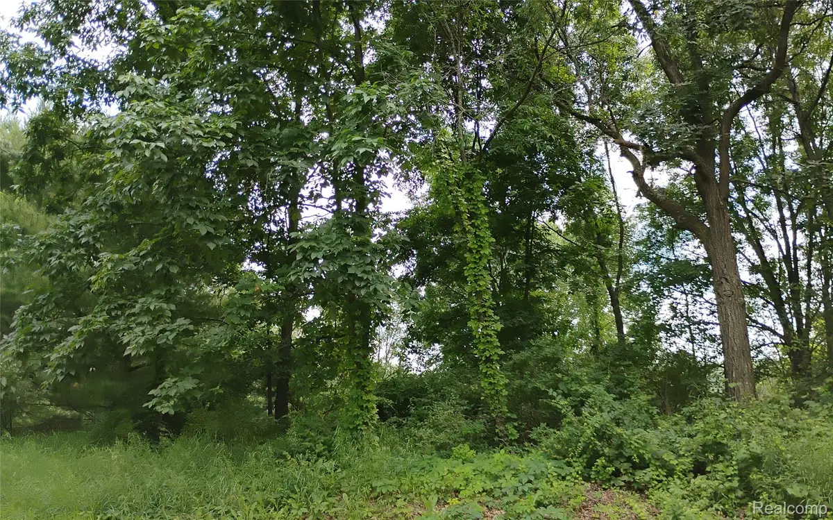 000 Middle V/L 18.12 Acre Middle, Highland, MI 48357 - #1
