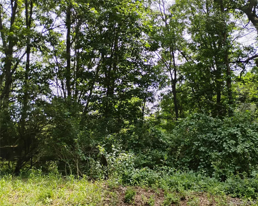 000 Middle V/L 18.12 Acre Middle, Highland, MI 48357 - #3