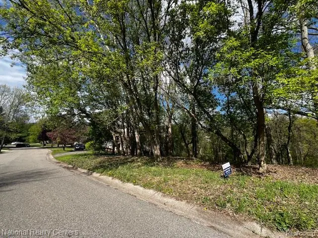0000 Serenity Road, Oakland, MI 48363 - #2