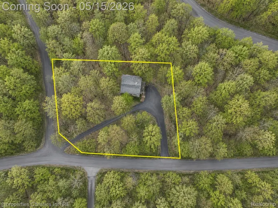 4001 Deskin Drive, Bellaire, MI 49615 - #3