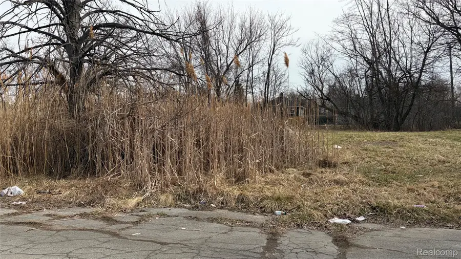 19202 Coventry Street, Detroit, MI 48203 - #2