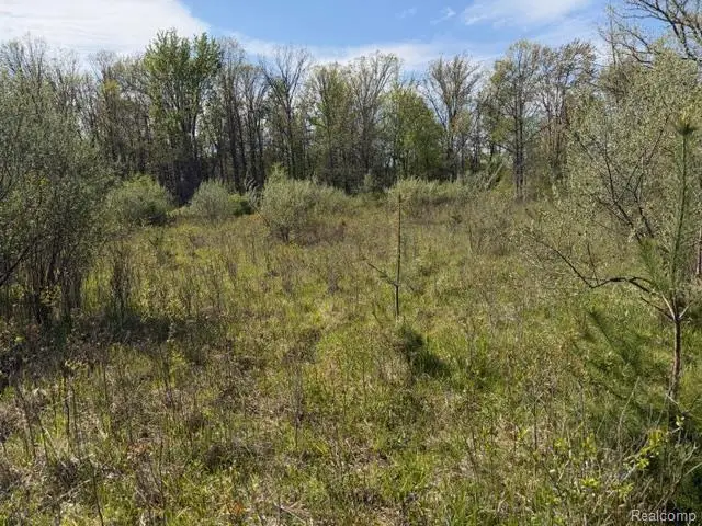 Parcel A & B Kelch Road, Mayville, MI 48744 - #2