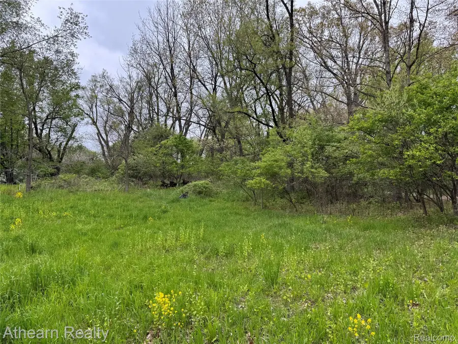 VL Dutton Rd Dutton Road, Gregory, MI 48137 - #3