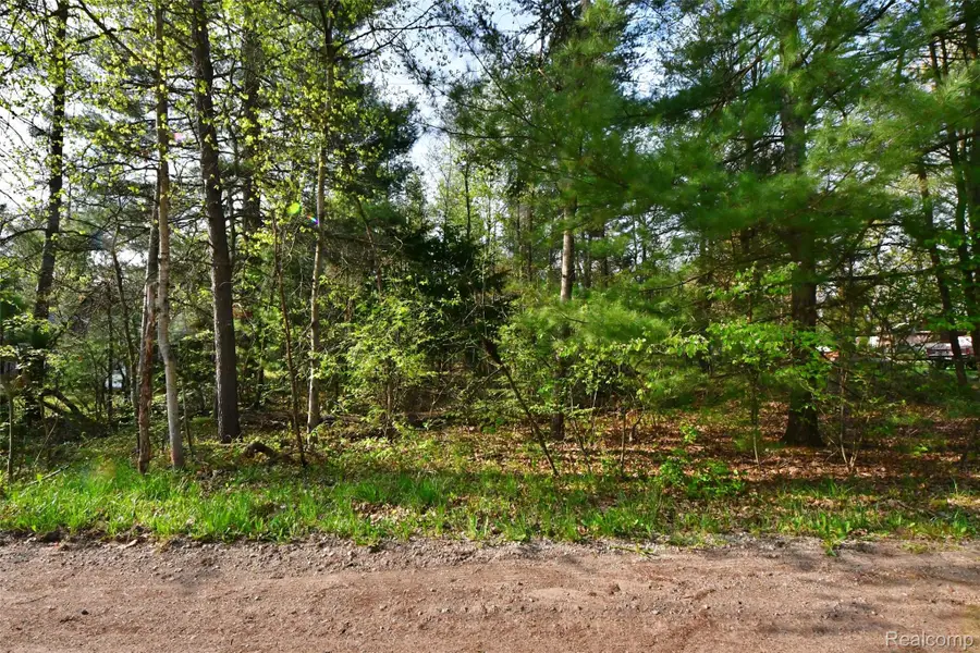 9340 Diamond Drive, Saint Helen, MI 48656 - #3