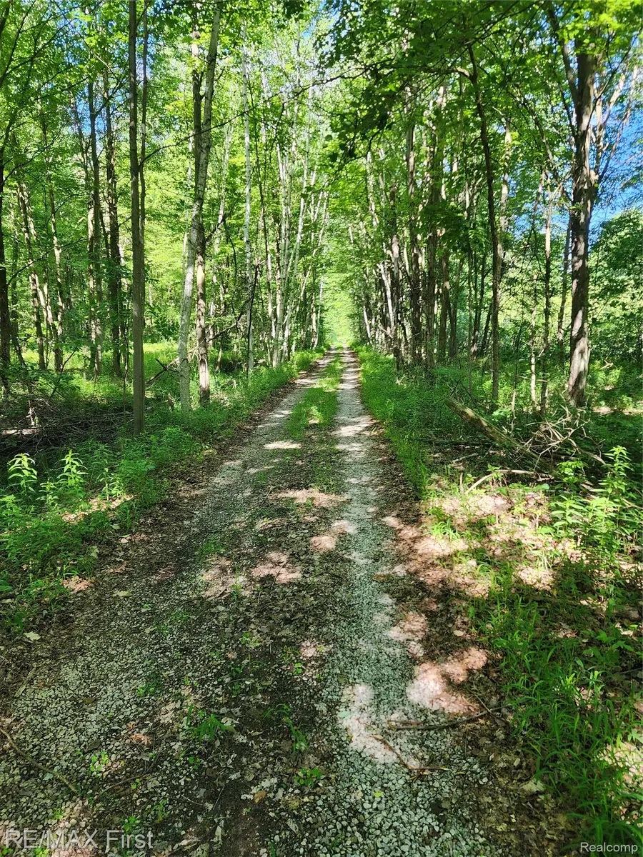 0 Vacant Land W Olsen Road, Sanford, MI 48657 - #2