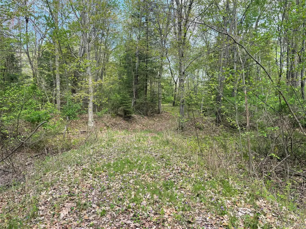 NA Oakridge Drive, Sims, MI 48703 - #1