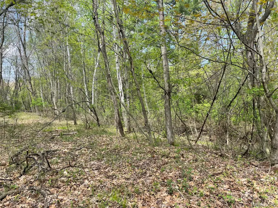 NA Oakridge Drive, Sims, MI 48703 - #2