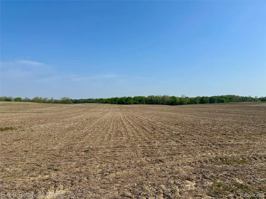 000 Mayville, Mayville, MI 48744 - #3