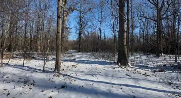 7021 Palms Road Road, FairHaven, MI 48023