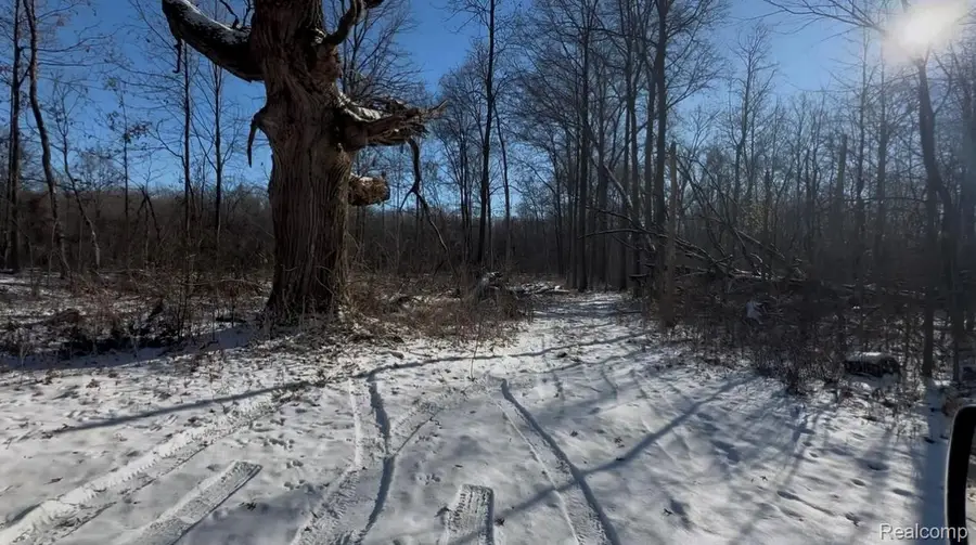 7021 Palms Road Road, Fair Haven, MI 48023 - #2