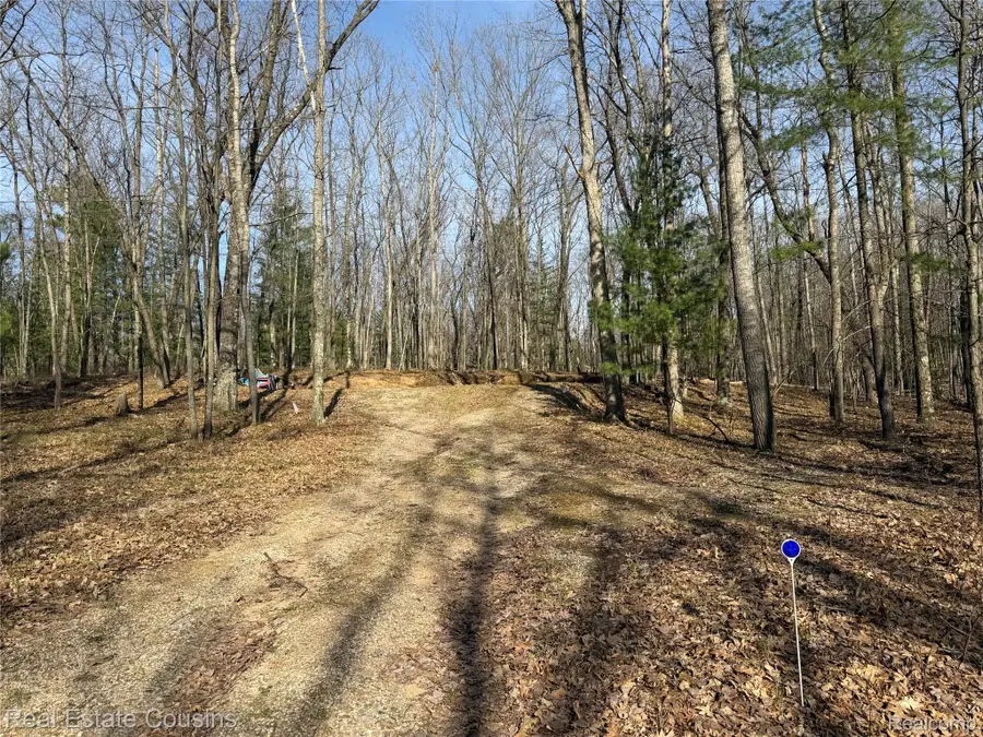 4701 Lake Road, Farwell, MI 48622 - #2