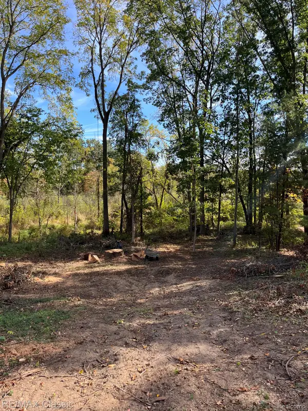 0000 Old Mill Road, Pinckney, MI 48169