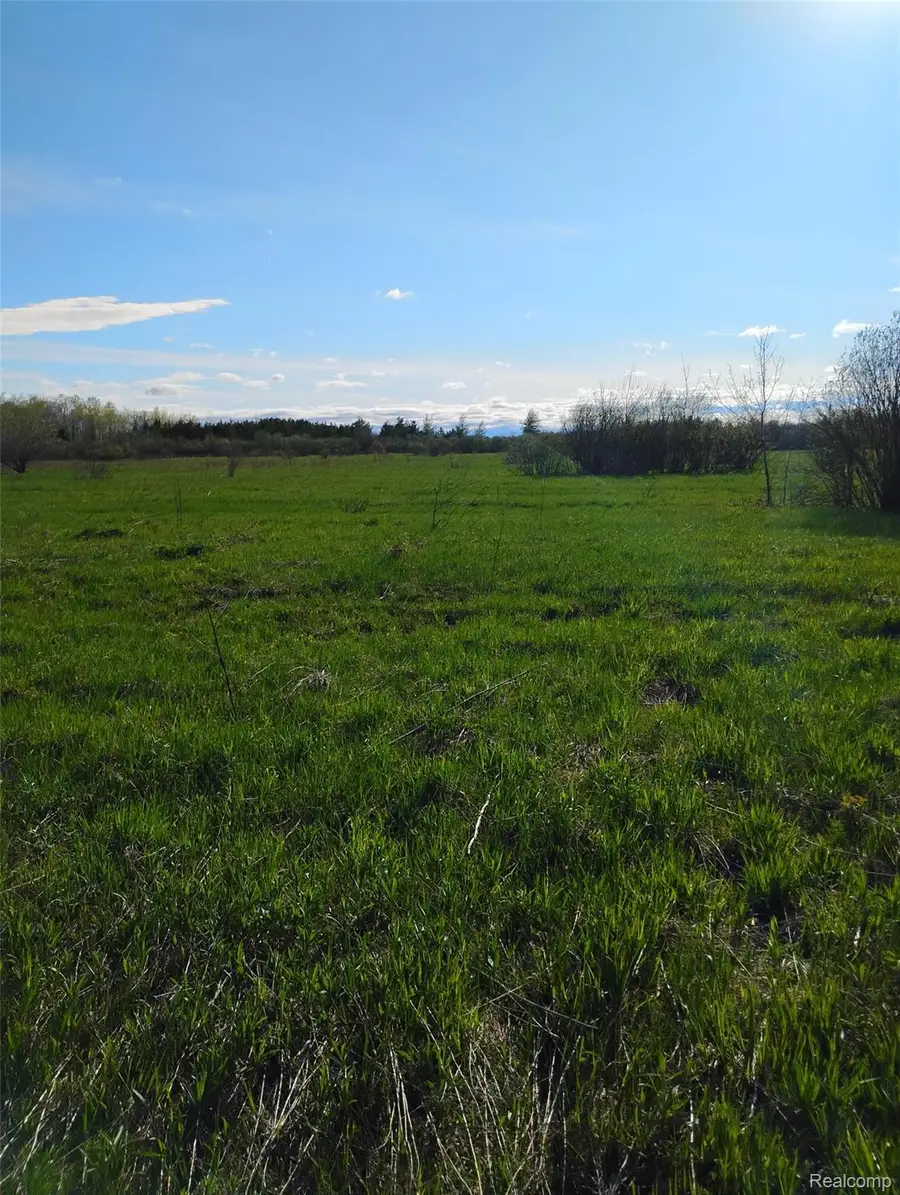 0 19 Mile Road, Rudyard, MI 49780 - #2