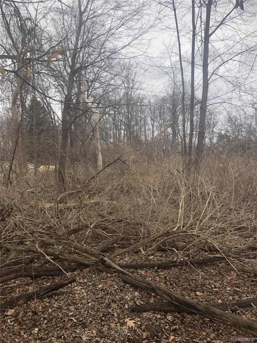 0 Massena Avenue, Commerce Township, MI 48382 - #3