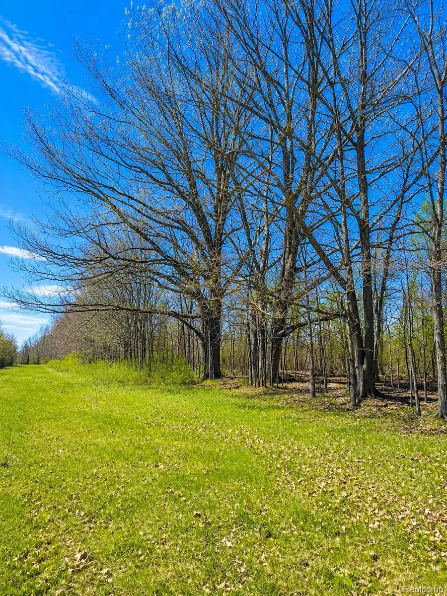 00 Jeddo, Brown City, MI 48416 - #2