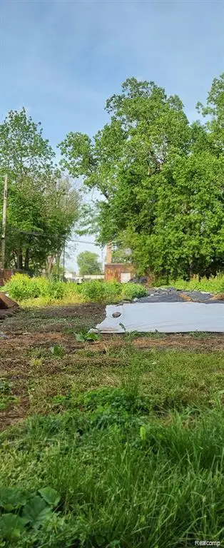 2969 Rosa Parks Boulevard, Detroit, MI 48216 - #2