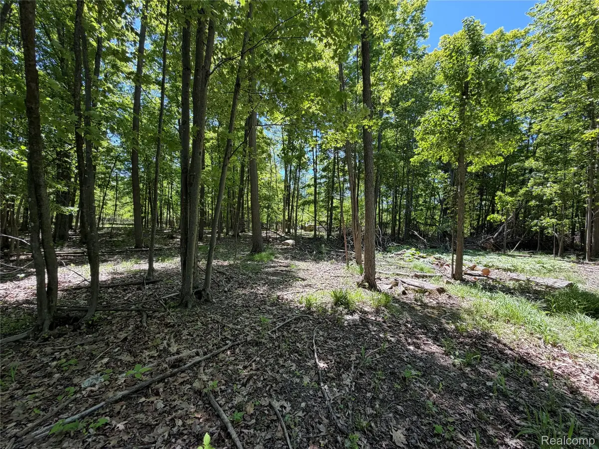 00 Dudley, Brown City, MI 48416 - #1