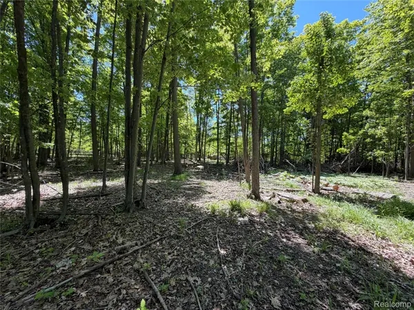 00 Dudley, BrownCity, MI 48416