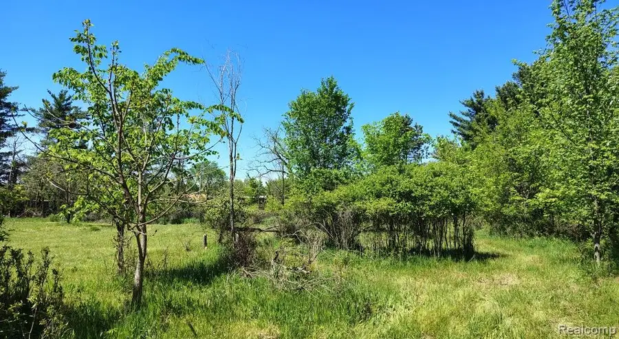 B Hemingway Lake Road, Otter Lake, MI 48464 - #3