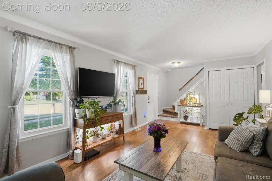 16128 Touraine Drive, Clinton, MI 48038 - #3
