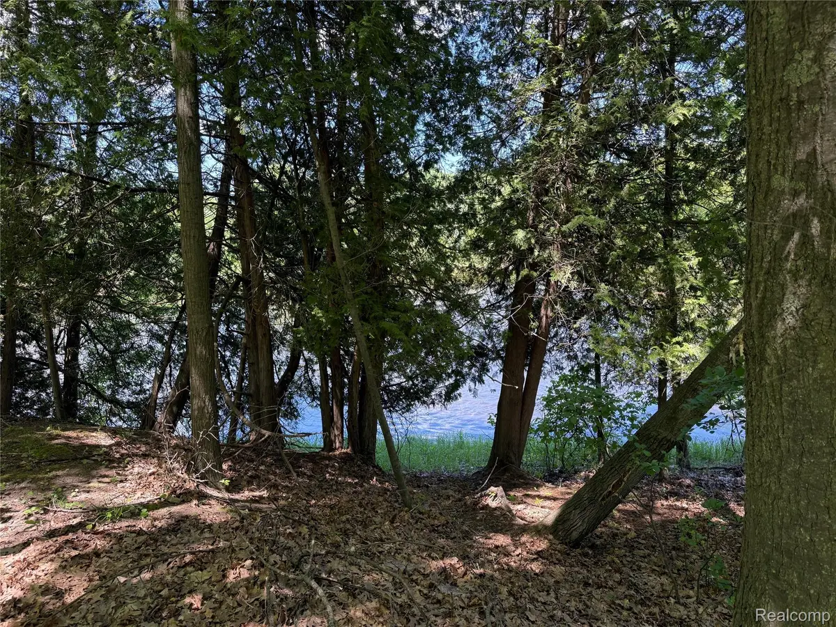 19672 Indian Drive Drive, Paris, MI 49338 - #1