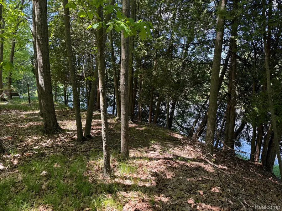 19672 Indian Drive Drive, Paris, MI 49338 - #2
