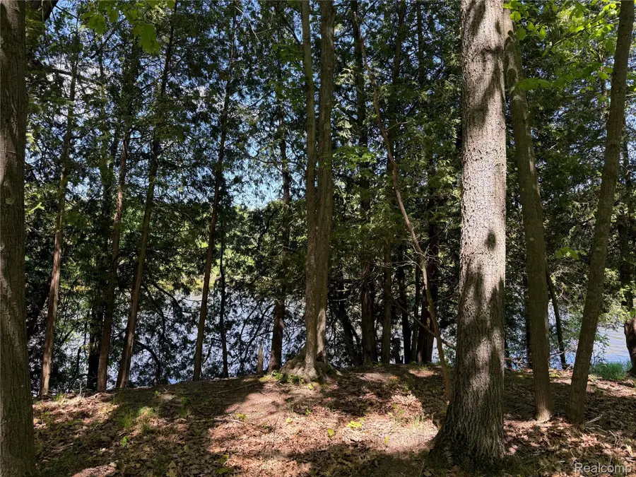 19672 Indian Drive Drive, Paris, MI 49338 - #3